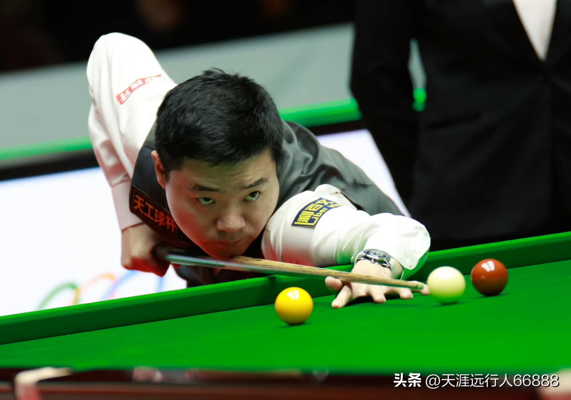 忠诚与人设 忠诚与人设